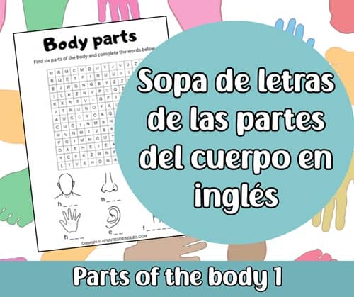Sopa de letras de las partes del cuerpo en inglés 1